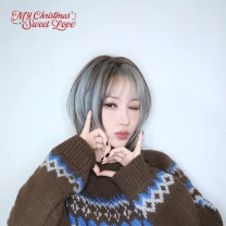 시연